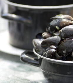 Cosy & Trendy Mosselpan - Zwart - ø 12 Cm / 900 Ml 8 Cosy & Trendy Mosselpan - Zwart - ø 12 Cm / 900 Ml -Keukengerei Verkoop 111 PUNT 012