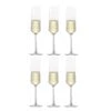 Zwiesel Glas Champagneglazen Pure - 215 Ml - 6 Stuks