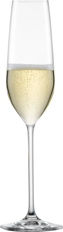 Schott Zwiesel Champagneglazen Fortissimo - 240 Ml - 6 Stuks -Keukengerei Verkoop 112494 Fortissimo Sekt Gr7 fstb 1fCerJS2bRk85v