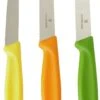 Victorinox Schilmessenset Bright - 3-Delig