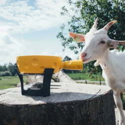 Boska Fondueset Cheesy - 6 Personen - Geel/zwart - 1.3 Liter 8 Boska Fondueset Cheesy - 6 Personen - Geel/zwart - 1.3 Liter -Keukengerei Verkoop 853512 BOSKAFondueSetSuperCheesy 2 2400x