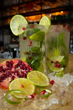 Cookinglife Longdrinkglazen Moray - 350 Ml - 4 Stuks -Keukengerei Verkoop Cocktail 2