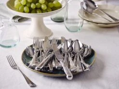 Keltum Haags Lofje (edelstaal) Taartschep -Keukengerei Verkoop Haags Lofje 3 e820