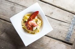 Maxwell & Williams Kleine Kom Motion 11 X 11 Cm / 170 Ml -Keukengerei Verkoop Motion sfeer6