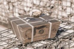 Anovi Oestervorkjes - 4 Stuks -Keukengerei Verkoop Oysterforks