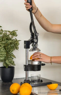 Sareva Citruspers - Gietijzer - Hevelmodel - Zwart -Keukengerei Verkoop citruspers 3 1