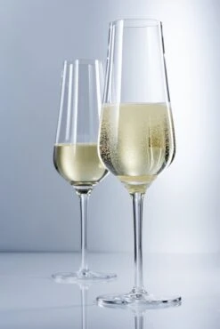 Schott Zwiesel Champagneglazen Fortissimo - 240 Ml - 6 Stuks -Keukengerei Verkoop for20cham