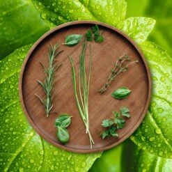 ASA Selection Pizzabord / Onderbord Wood ø 30 Cm -Keukengerei Verkoop grande wood holzteller kraeuter 2 2