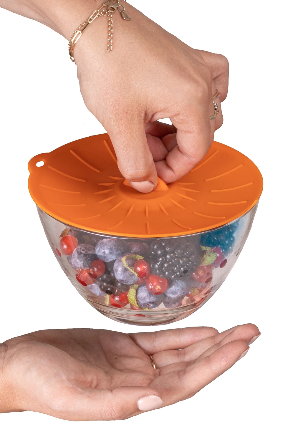 Sareva Siliconen Vershouddeksels - Vacuum - 5 Stuks 2 Sareva Siliconen Vershouddeksels - Vacuum - 5 Stuks - Afbeelding 2