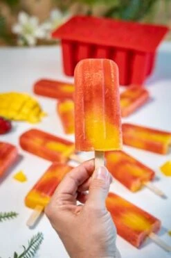 Sareva IJsjesmaker Voor 10 Ijsjes - Rood - Siliconen + 150 Houten IJsstokjes -Keukengerei Verkoop sareva ijsjesmaker 2